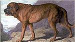 1815 Alpine Mastiff.jpg