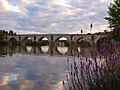 20100918 Zamora, Puente Piedra