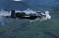 A-10 Thunderbolt II Gun Run