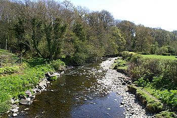 Afon Carno (geograph 166473).jpg