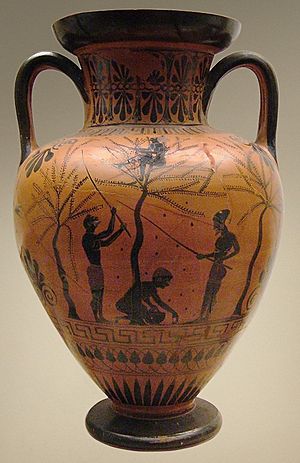 Amphora olive-gathering BM B226