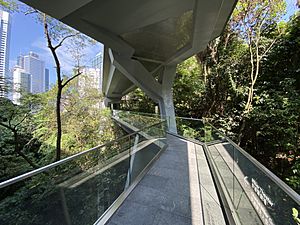 Asia Society Hong Kong Center Yasumoto Bridge 202104