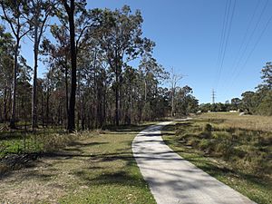 Bikeway Marsden