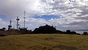 Black Mountain summit