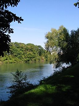 Bord de la Marne.jpg