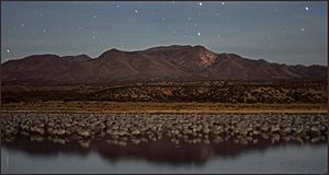 Bosque del Apache at night