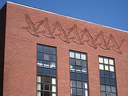 Building detail, Harvard University