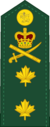 Canadian Forces Unification Rank Insignia OF-7.png