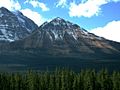 Conifer Volcano