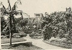 Cranbrook Garden 1895.jpg