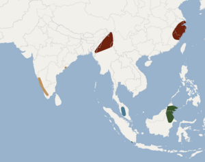 Distribution of Myotis montivagus.png