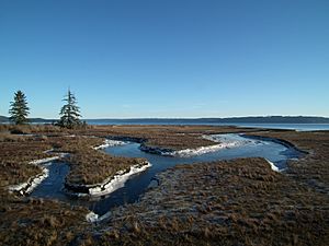 Dosewallips state park estuary