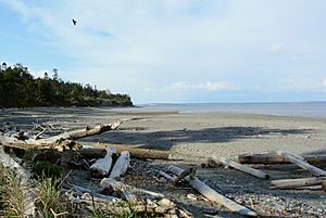 East Beach Park, Marrowstone Island