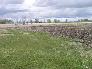 Farm in campbell co south dakota.jpg