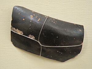 Fragment - Northern Black Polished Ware - 500-100 BCE - Sonkh - Showcase 6-15 - Prehistory and Terracotta Gallery - Government Museum - Mathura 2013-02-24 6458