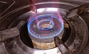 Gas oven flame