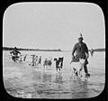 Goldi men with dog sled on Amur River LCCN2004708050