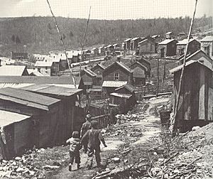 Harlan County Miners Houses