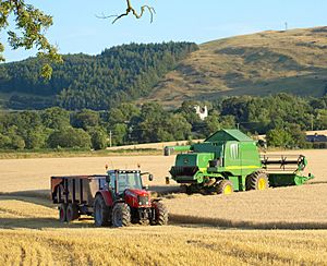 Harvest home, Brickhall