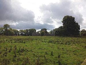 Inchcleraun Monastery