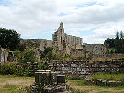 Jervaulx Abbey, geograph.jpg