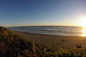 Kalaloch beach