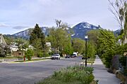 Livingston MT 02