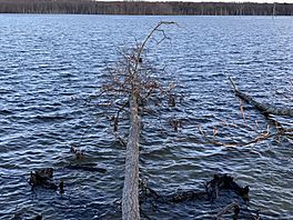 Manasquan Reservoir.jpg