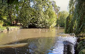 Manor Park Aldershot Pond