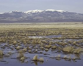 Monte Vista National Wildlife Refuge.jpg