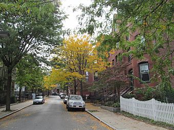 Mount Pleasant Avenue, Roxbury MA.jpg