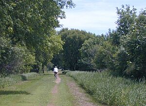 PanoramioCrop-LuceLineBikeWalkTrailCosmosMN