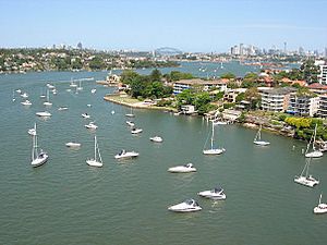 ParramattaRiverFromGladesvilleBridge