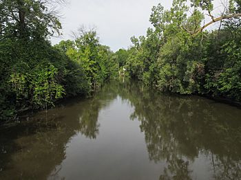 Pine River Alma Michigan.jpg