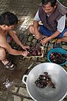 Preparing Bats