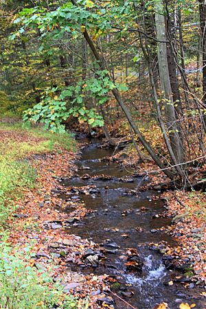 Rattling Run looking upstream 1