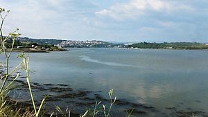 River Plym (England)