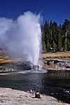 Riverside Geyser 1959.jpg