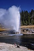 Riverside Geyser 1959