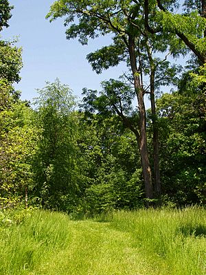 Rutgers Gardens - general view