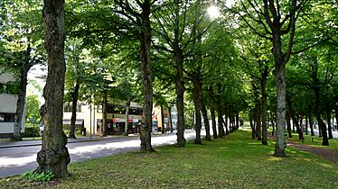 Storagatan (Mariehamn), 2019 (01)