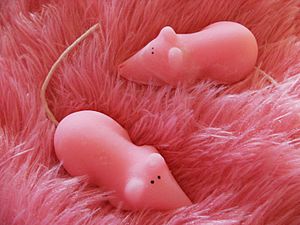 Sugar Mice.jpg