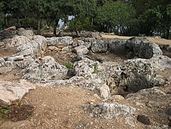 Talmudic Wine Press