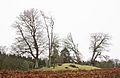 The Blair Court Hill from the south-east, Dalry, North Ayrshire, Scotland