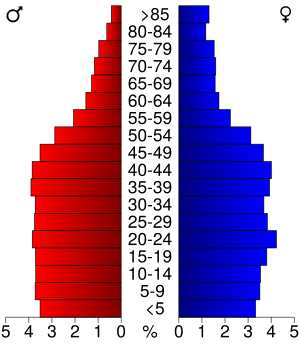 USA Ramsey County, Minnesota age pyramid