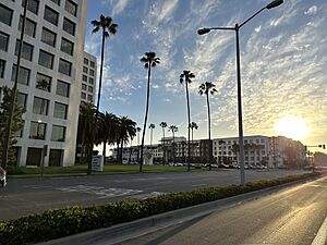 View from Irvine Streets