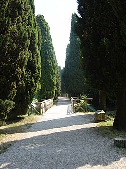 Aquileia. La passeggiata archeologica. Foto di Giovanni Dall'Orto