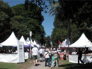 AshfieldNSWCarnival