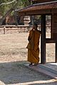 Ayutthaya, Monk, Thailand