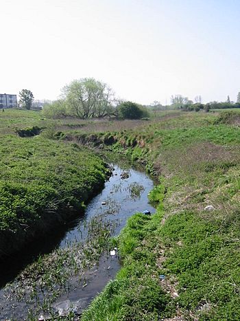 Beam valley park.jpg